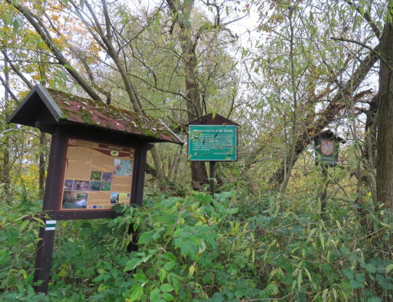 Přírodní památka Stará Úhlava. Zdroj foto: Pavla Košík Jelínková