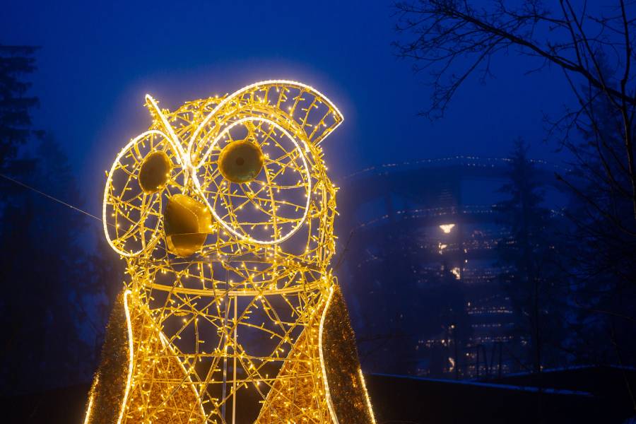Magické večerní dobrodružství na Stezce korunami stromů v Janských Lázních. Zdroj: Stezka korunami stromů Krkonoše s.r.o.