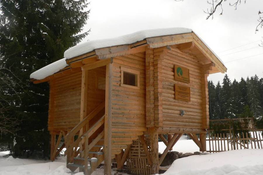 Zimní pozorování jelenů na Kvildě. Zdroj: NP Šumava