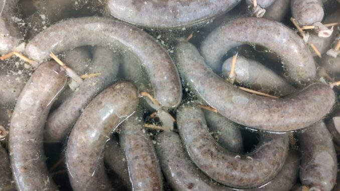 Humpolecké zabijačkové hody. Zdroj: Město Humpolec