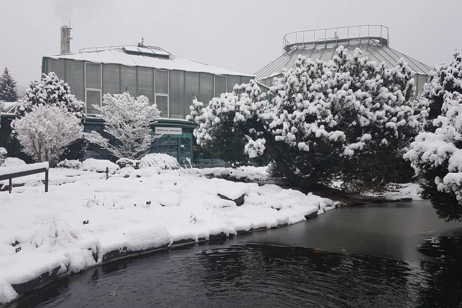 Botanická zahrada v zimě. Zdroj: Botanická zahrada Liberec
