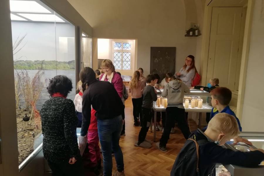 Zámek Nová Horka. Zdroj: Muzeum Novojičínska