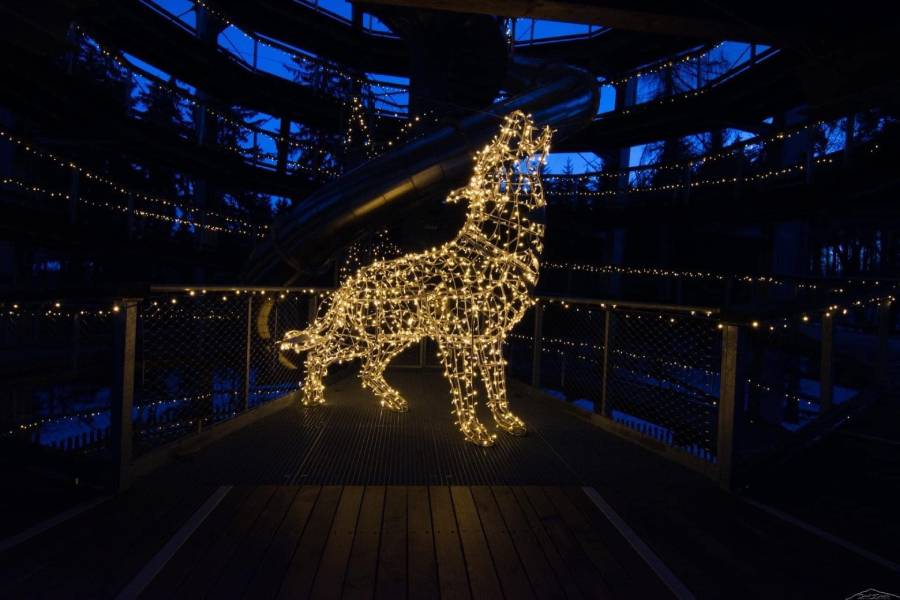 Magické večerní dobrodružství na Stezce korunami stromů v Janských Lázních. Zdroj: Stezka korunami stromů Krkonoše s.r.o.