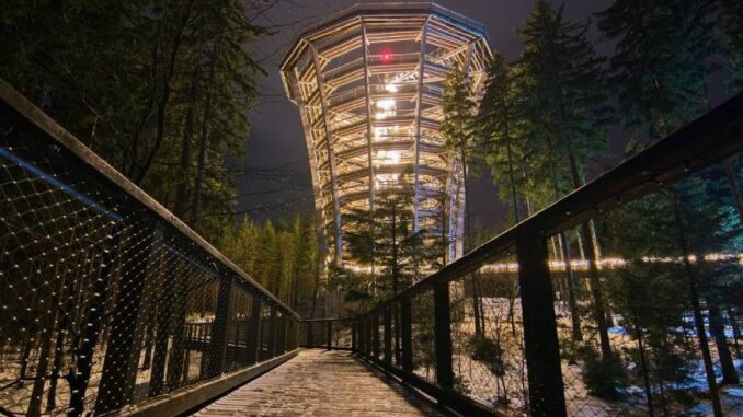 Magické večerní dobrodružství na Stezce korunami stromů v Janských Lázních. Zdroj: Stezka korunami stromů Krkonoše s.r.o.