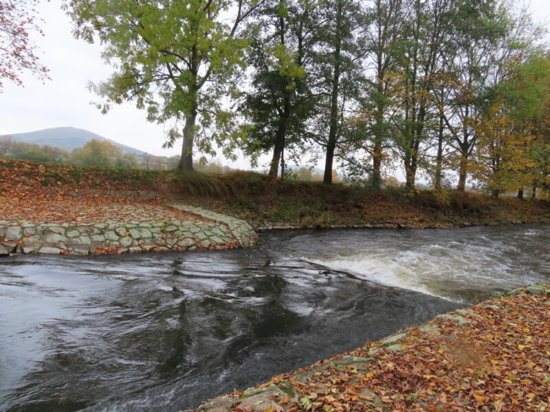 Koryto narovnané řeky Úhlavy. Zdroj foto: Pavla Košík Jelínková
