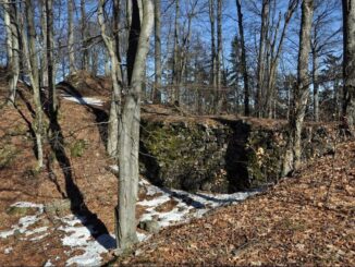 Zřícenina hradu Třemšín. Foto: Petr Fabian. Zdroj: Hrady-zříceniny.cz