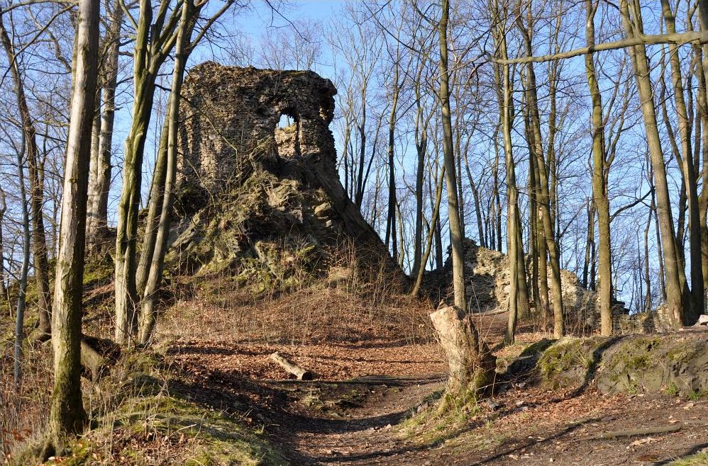Zřícenina hradu Hamrštejn. Foto: Petr Fabian. Zdroj: <a href="http://www.hrady-zriceniny.cz">Hrady-zříceniny.cz</a>