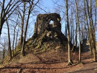 Zřícenina hradu Hamrštejn. Foto: Petr Fabian. Zdroj: Hrady-zříceniny.cz