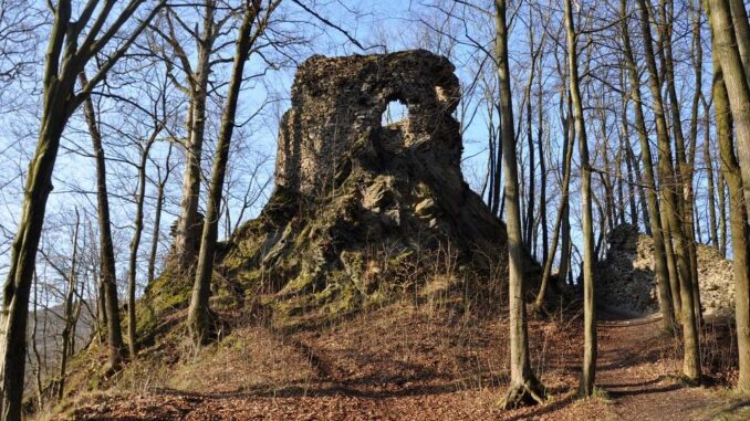 Zřícenina hradu Hamrštejn. Foto: Petr Fabian. Zdroj: Hrady-zříceniny.cz