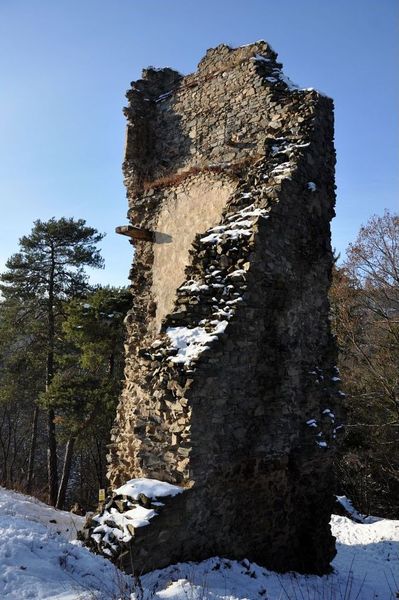 Zřícenina hradu Zlenice. Foto: Petr Fabian. Zdroj: <a href="http://www.hrady-zriceniny.cz">Hrady-zříceniny.cz</a>