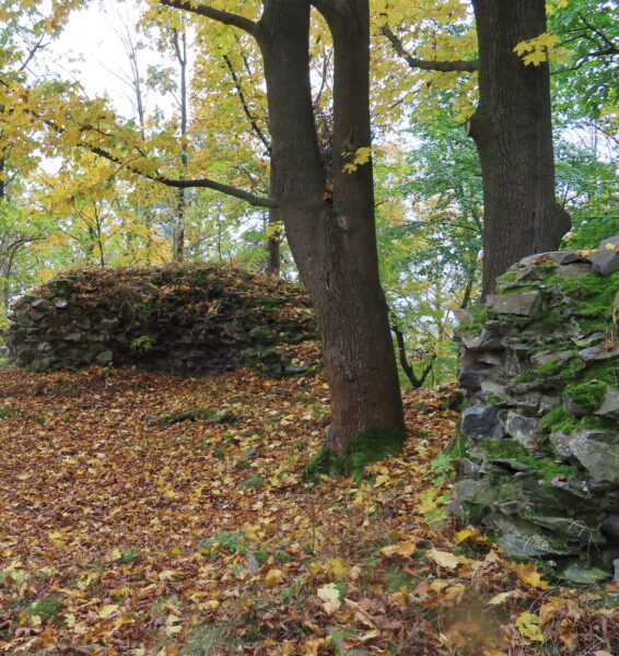Fragmenty hrádku Kokšín. Zdroj foto: Pavla Košík Jelínková