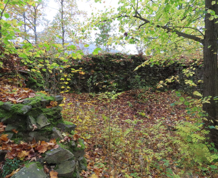 Kokšín. Zdroj foto: Pavla Košík Jelínková