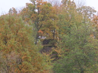 Hrádek Kokšín je jen nepatrně viditelný mezi hustou zelení. Zdroj foto: Pavla Košík Jelínková