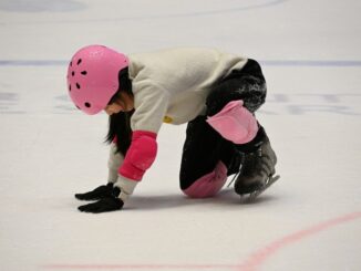 S bruslemi je radost žít .Zdroj foto: Pixabay.com