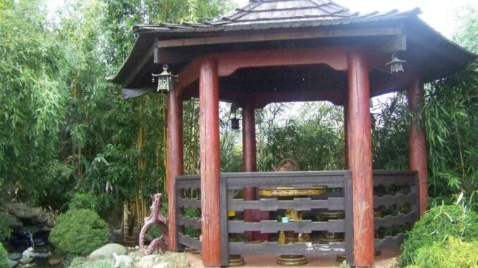 bonsai centum Libčany