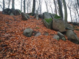 Přírodní rezervace Grybla