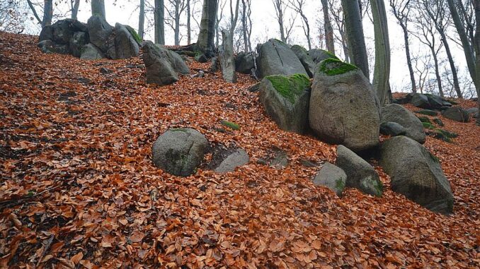 Přírodní rezervace Grybla