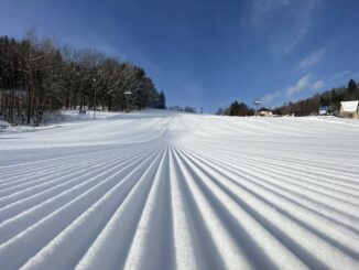 Zdroj: Ski Family Dolní Dvůr