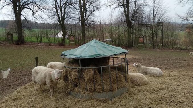 Křížová cesta Rumburk