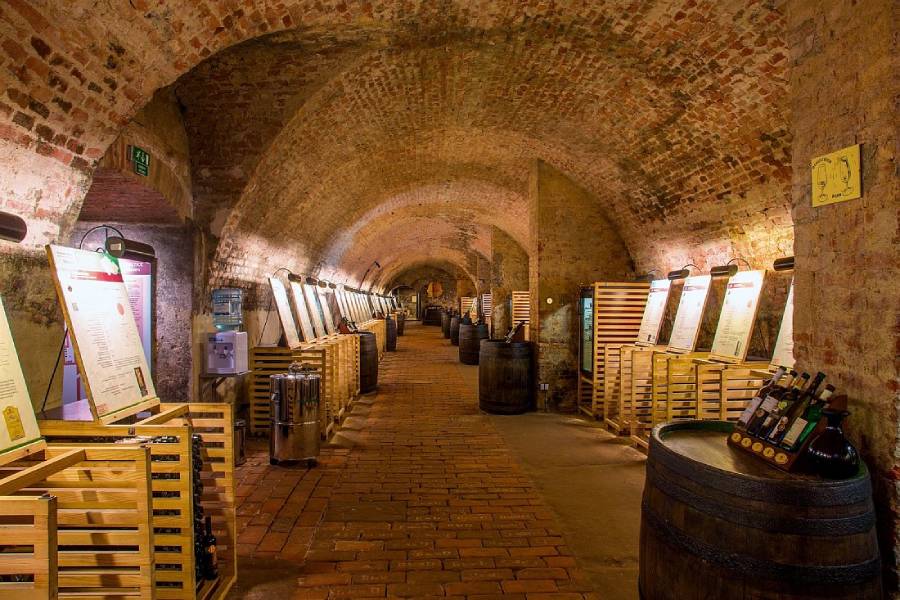 Salon vín v historickém sklepení valtického zámku. Zdroj: Národní vinařské centrum Valtice