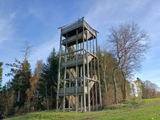 Dobře ukrytá rozhledna Járy Cimrmana u Březové nad Svitavou. Foto: Anna Petruželková