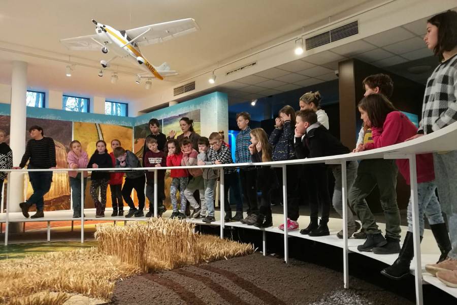 Jarní prázdniny v Moravském zemském muzeu v Brně. Zdroj: Moravské zemské muzeum