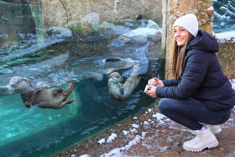 Zoologická a botanická zahrada v Plzni. Zdroj: Zoo Plzeň