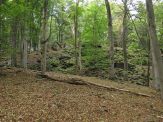 Přírodní rezervace Bělč.