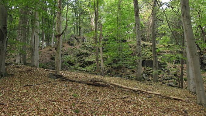 Přírodní rezervace Bělč.