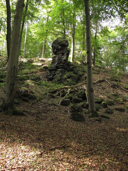 Přírodní rezervace Bělč.