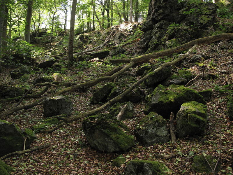 Přírodní rezervace Bělč.