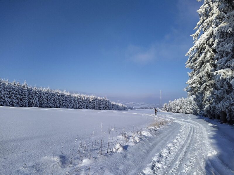 Cestou na Božanovský Špičák
