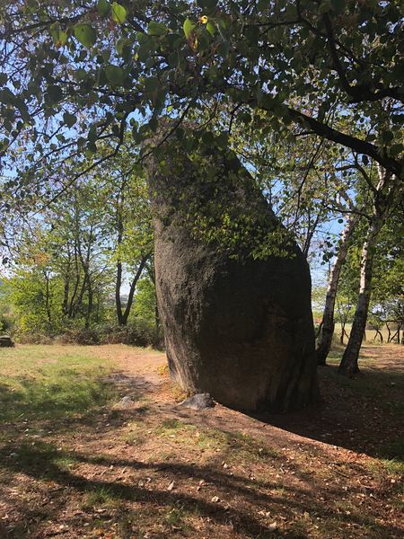 Skalní útvar Klepec u obce Skřivany. Zdroj: Shutterstock.com/1203977869/jablko02