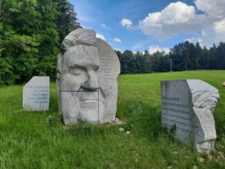 Hlava XXII. Foto: Jan Malý