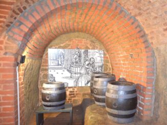 Objevte podzemí v Plzni!