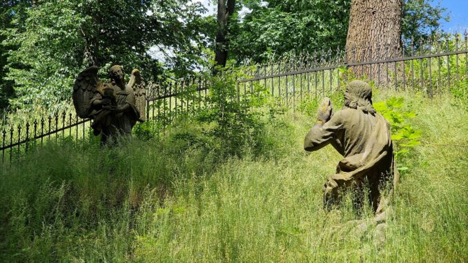 křížová cesta Šluknov 