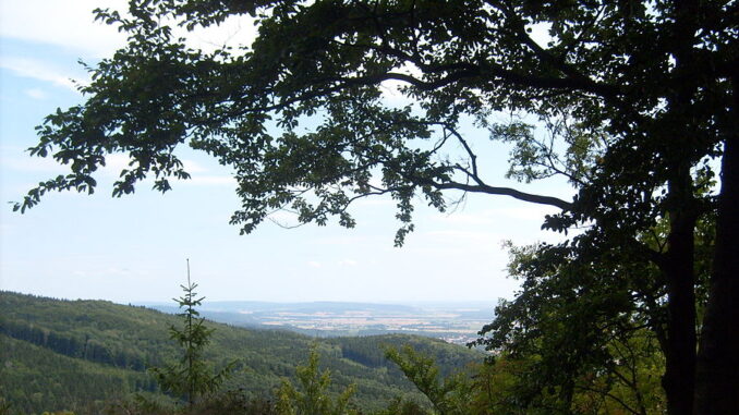 Výhled z hradu Kozlov