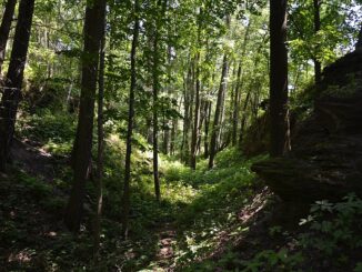 Valy hradu Košťálov.