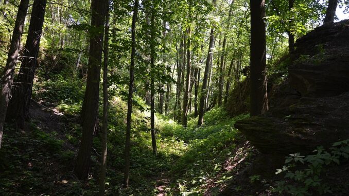 Valy hradu Košťálov.