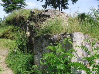 Zřícenina hradu Věžka.