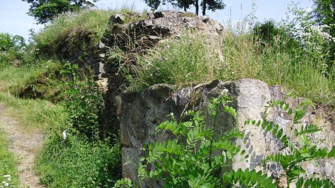 Zřícenina hradu Věžka.