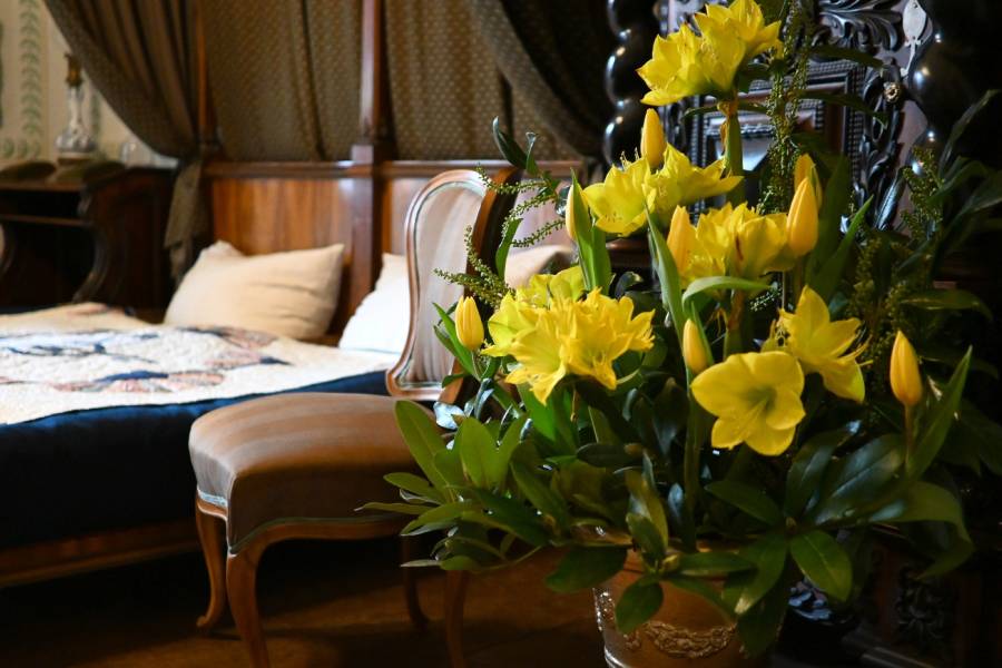 Výstava květin Amaryllis na zámku Třeboň. Zdroj: Národní památkový ústav, CC BY-NC-ND 3.0 CZ