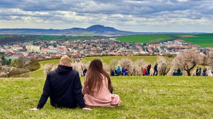 Slavnosti mandloní a vína v Hustopečích. Zdroj: Město Hustopeče
