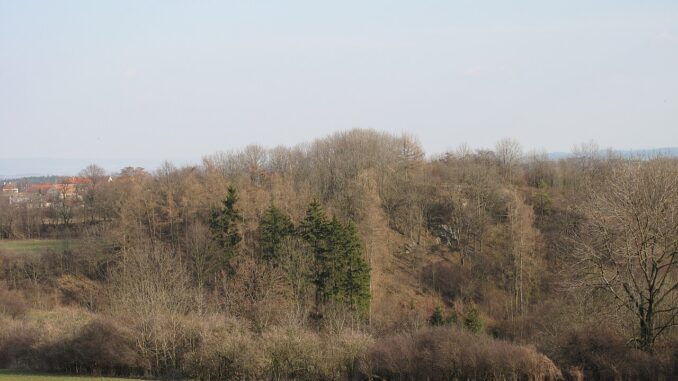 Hradiště Cimburk.