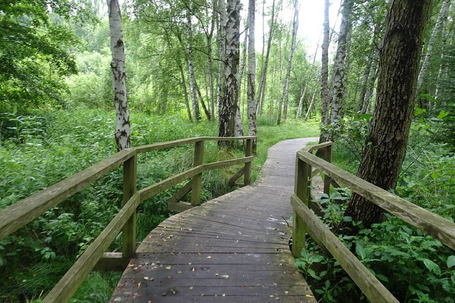 Hrádek nad Nisou, Přírodní lokalita Haťové chodníčky. Autor: Palickap, CC BY-SA 4.0, Wikimedia Commons