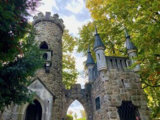 Rozhledna Salingburg u Františkových Lázní. Zdroj: Shutterstock.com/2376736345/Jens54321