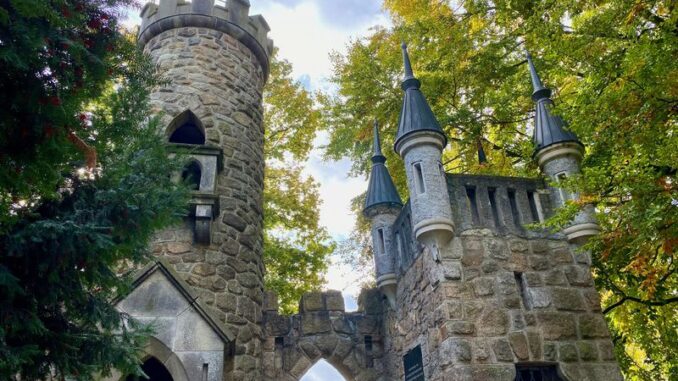 Rozhledna Salingburg u Františkových Lázní. Zdroj: Shutterstock.com/2376736345/Jens54321