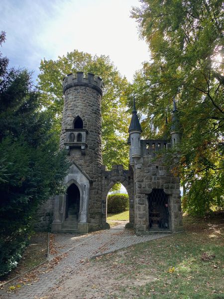 Rozhledna Salingburg u Františkových Lázní. Zdroj: Shutterstock.com/2376736371/Jens54321