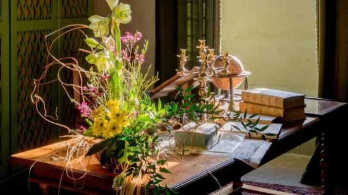 Výstava květin Amaryllis na zámku Třeboň. Zdroj: Národní památkový ústav, CC BY-NC-ND 3.0 CZ