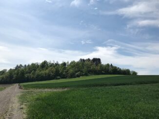 Břístevská hůra.